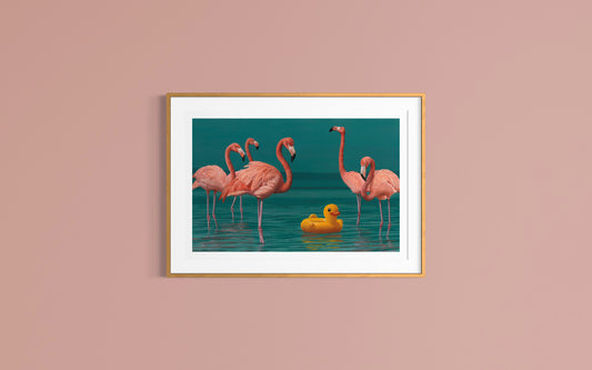 Duck and the Flamingos | Limited Edition Fine Art Print