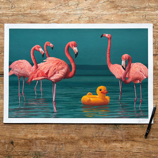 Duck and the Flamingos fine art print by Glenn Verkerk, 40 x 60 cm, signed by the artist, displayed on a wooden table with a 2 cm white border.