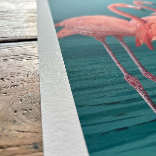 Close-up of the Duck and the Flamingos fine art print on Hahnemühle Museum Etching paper, showing the high-quality textured paper surface on a wooden table.