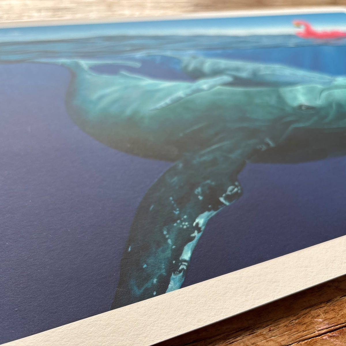 Close-up of the paper texture and relief on the Flamingo and the whales museum-quality print