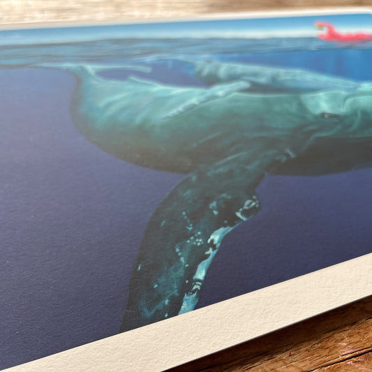 Close-up of the paper texture and relief on the Flamingo and the whales museum-quality print