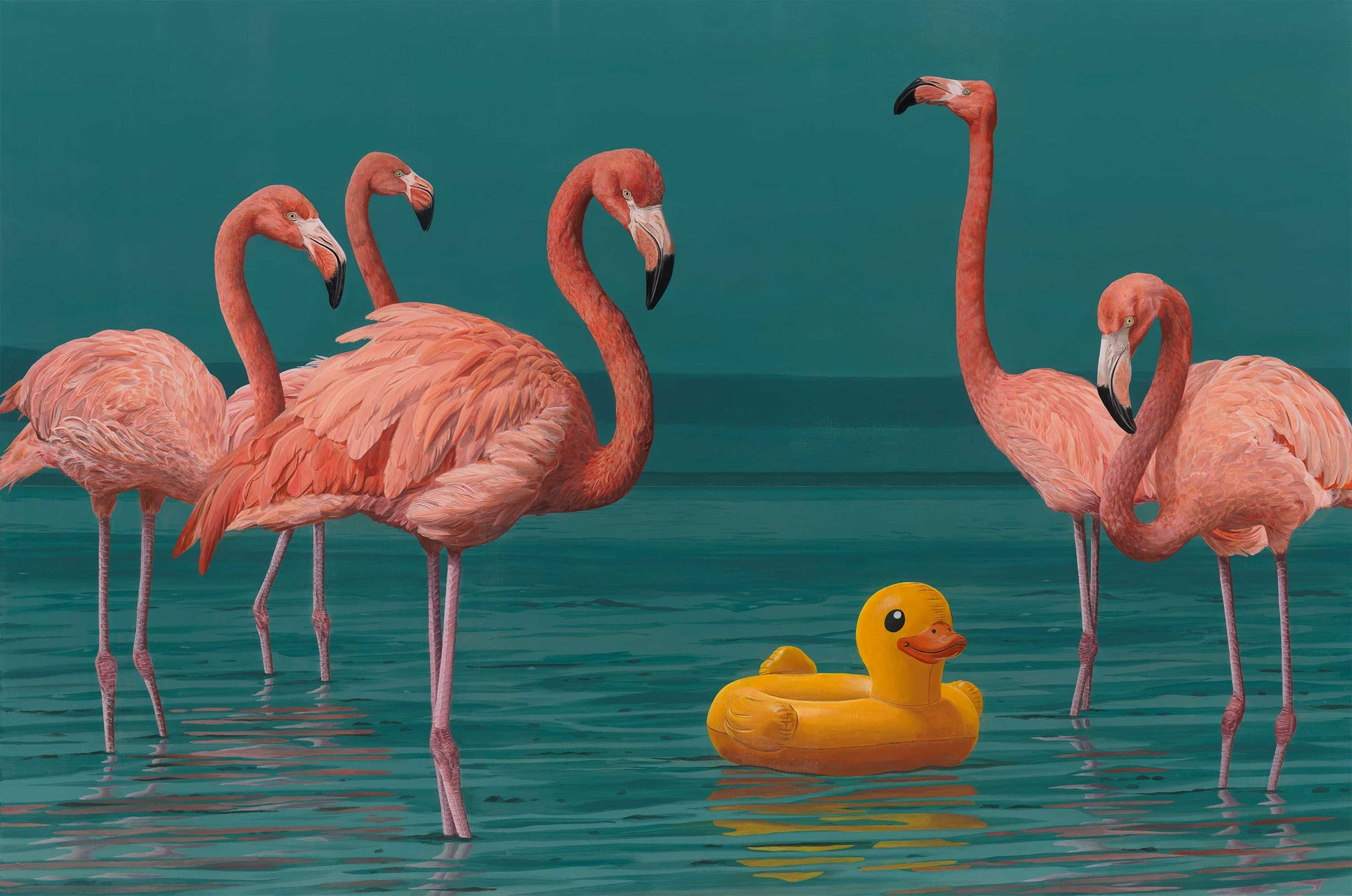 A group of American flamingos stands in a calm lagoon while an inflatable duck drifts among them. The contrast between wildlife and a man-made object creates a playful yet thought-provoking scene.