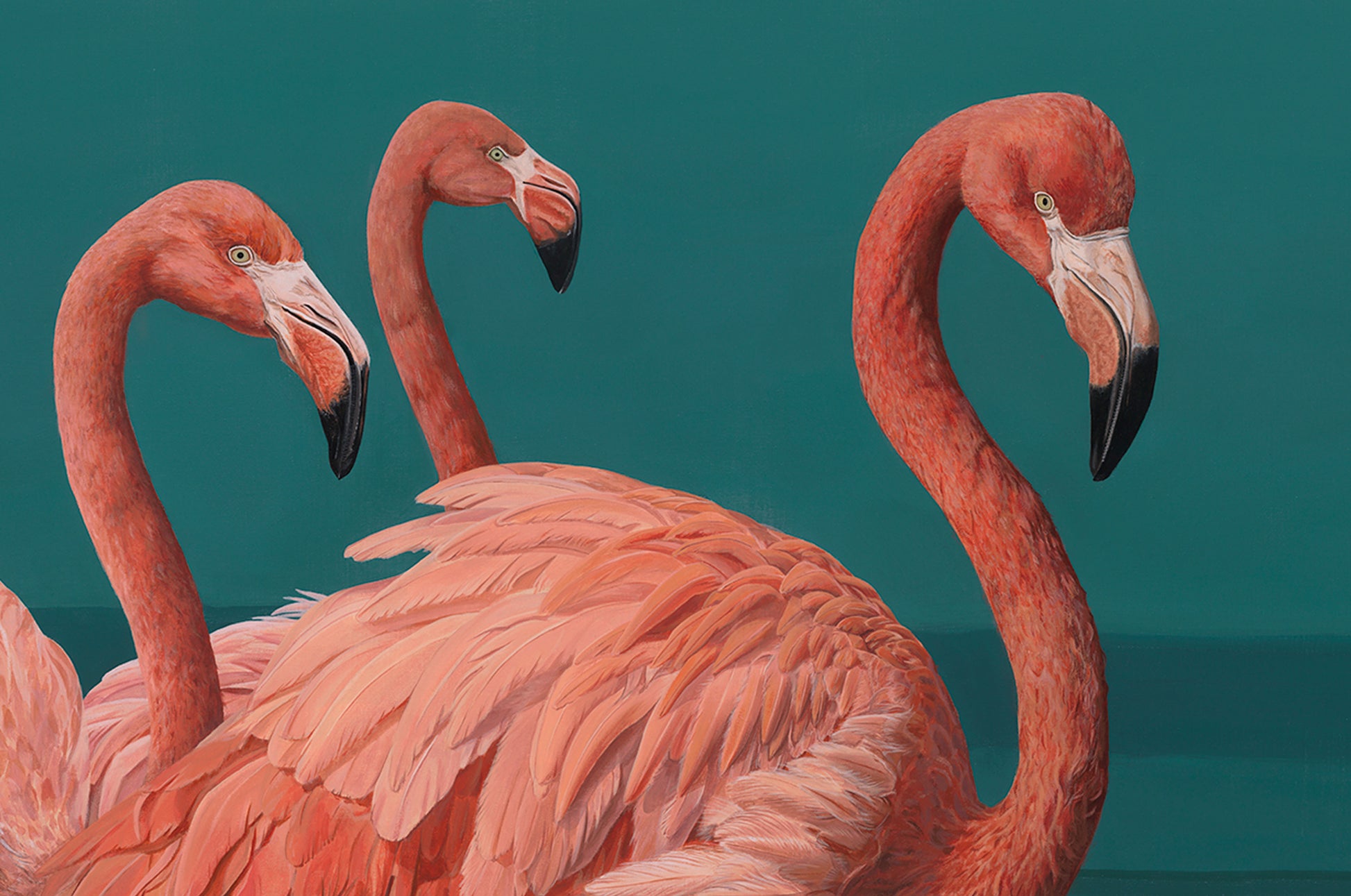 Detail of three elegant American flamingos in a peaceful lagoon scene from Duck and the Flamingos by Glenn Verkerk.